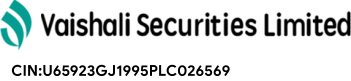 Vaishali Securities Limited logo